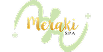 meraki